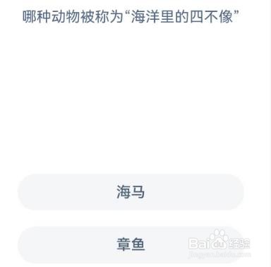 神奇海洋：哪种动物被称为“海洋里的四不像”