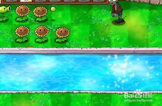 植物大战僵尸泳池2-4关攻略