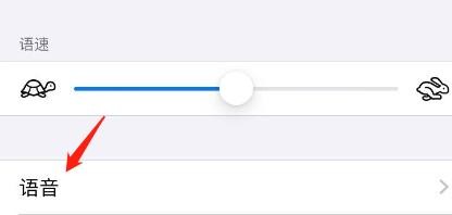 iPhone的旁白怎么设置添加新语言