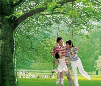 怎样选择户外旅游保险