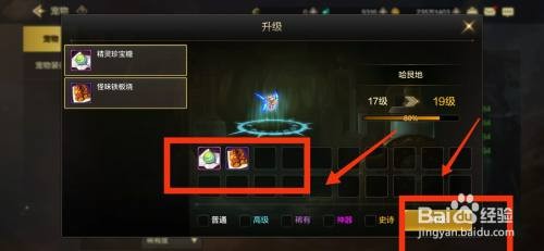 DNF手游怎么才能给宠物升级