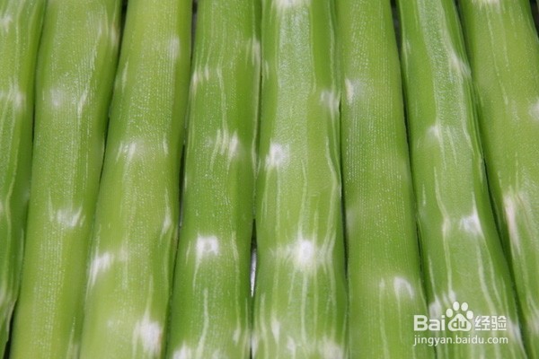 兵哥秘方——生发食物大全