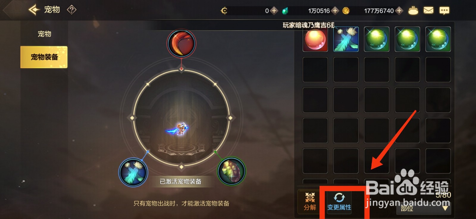 DNF手游变更宠物装备属性的方法