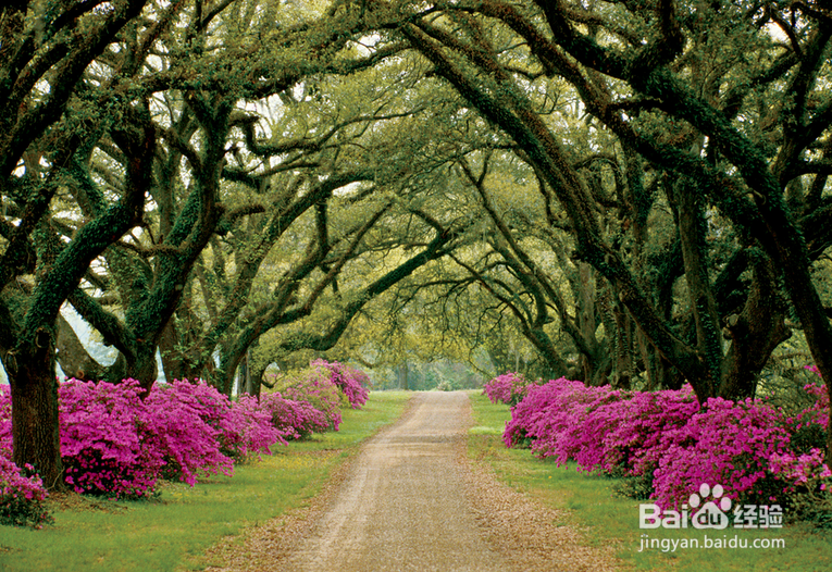 摄像如何快速入门