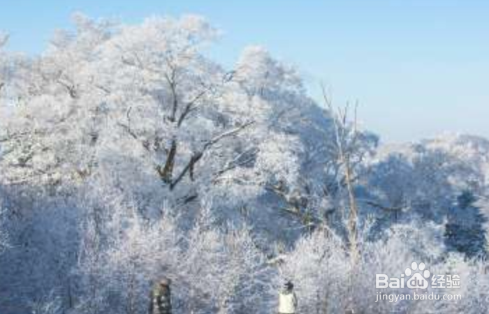 吉林北大湖滑雪场怎么玩?