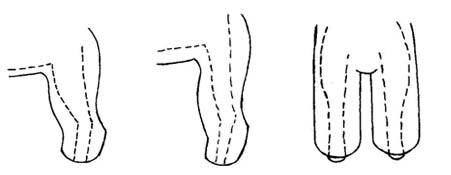 西施犬美容修剪方法教程（图文）