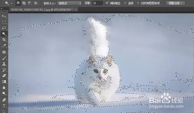 PS:如何用蒙版抠出白猫