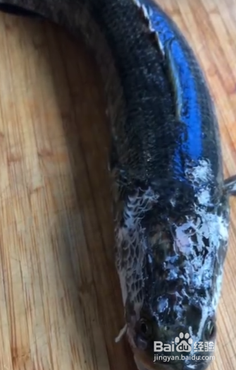 酸菜鱼的家常个人做法