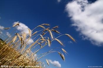 秋季应当注意的问题。