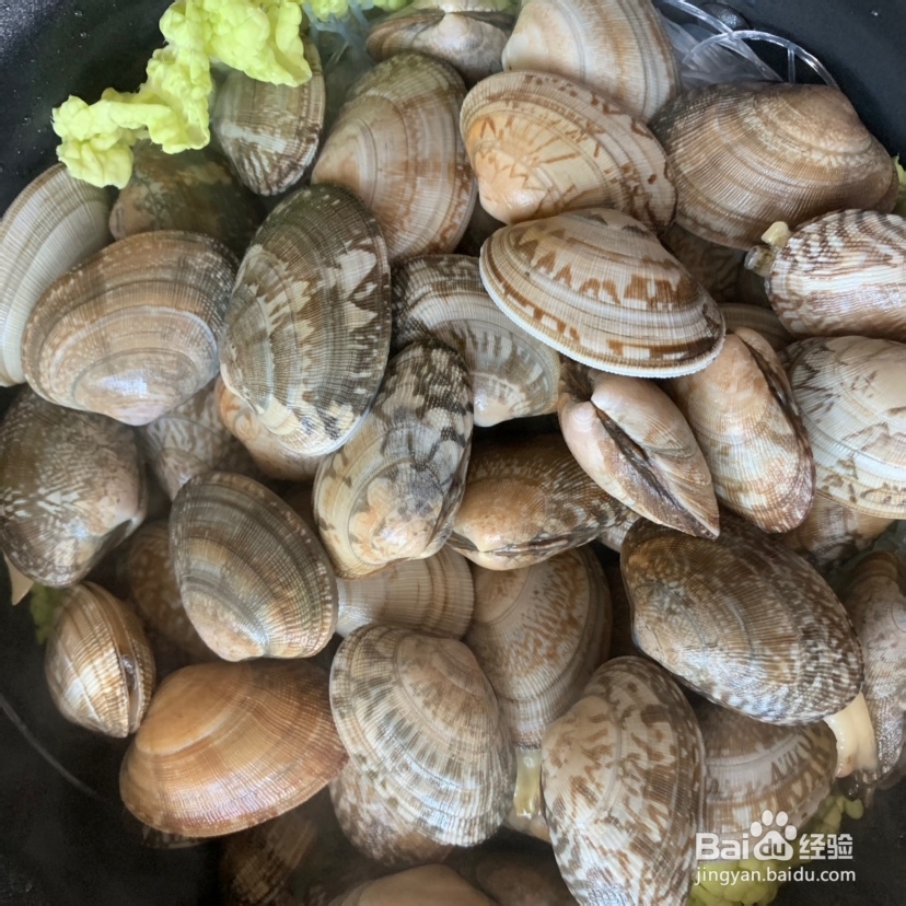 不费事做粉丝