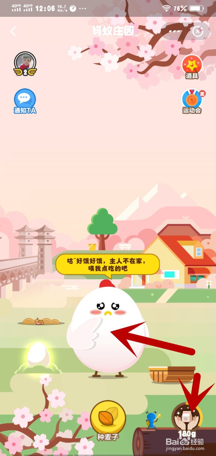 蚂蚁庄园怎么帮友人喂食小鸡