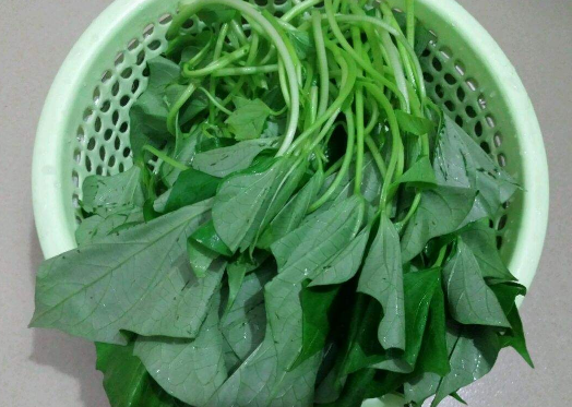 红薯叶的营养价值什么，经常吃可以吗