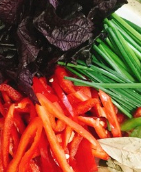 爆炒田鸡 的做法