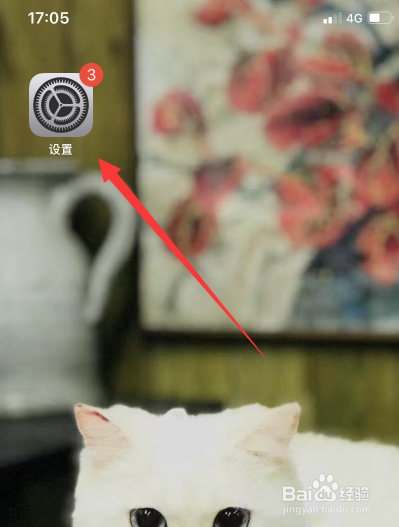 苹果手机旁白怎么开启