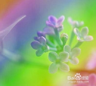 isee图片专家：[46]如何制作彩虹渐变效果
