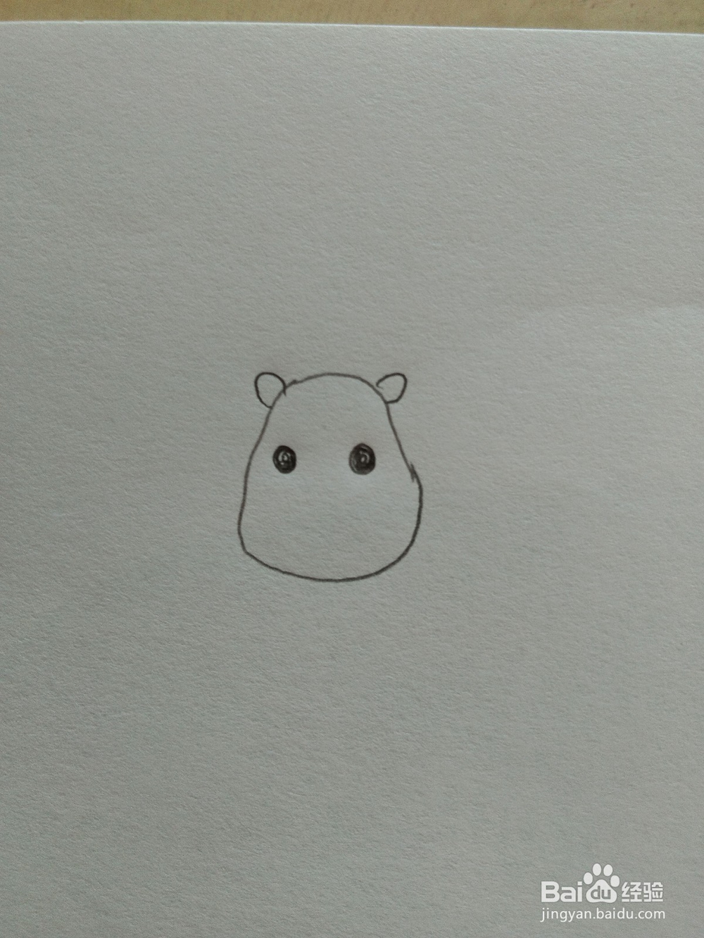 儿童趣味简笔画狮子