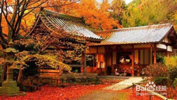 2020年过年适合去哪里玩?