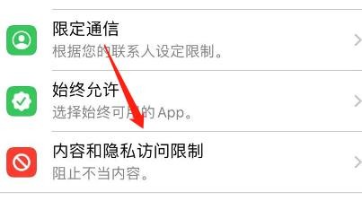 怎么查看iPhone中设置了哪些内容访问限制