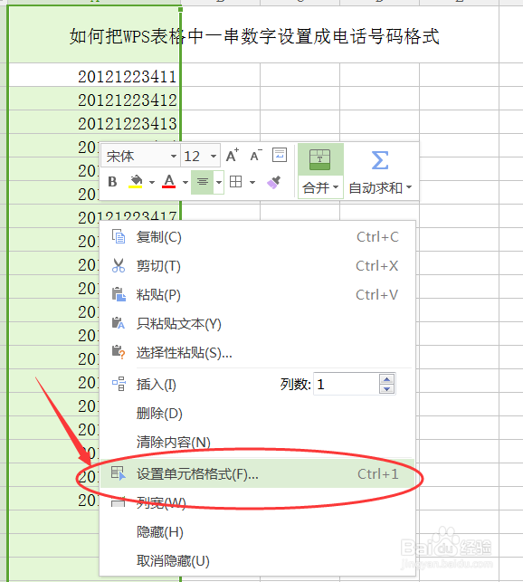#WPS#-如何把WPS中一串数字设置成电话号码格式