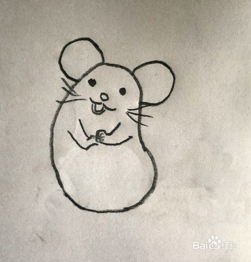 【简笔画】小老鼠的分步画法