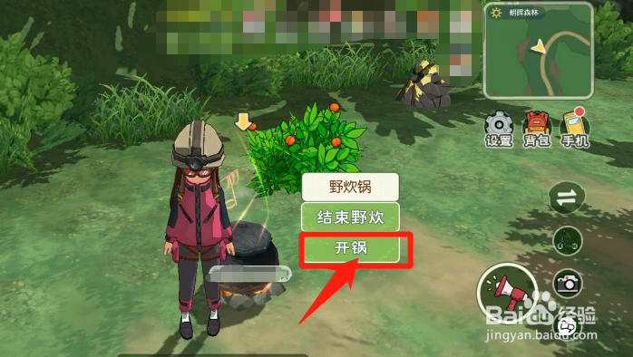 如何使用野炊锅