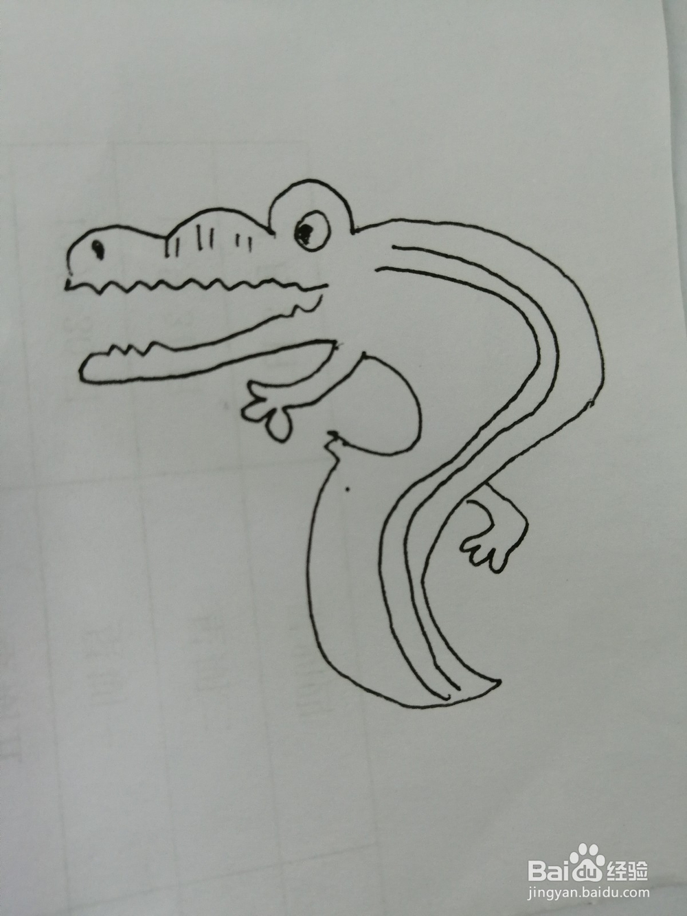 简笔画可爱的鳄鱼怎么画