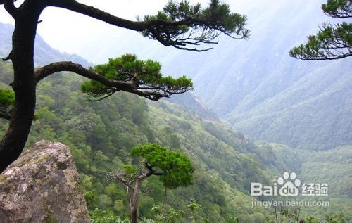 万龙滑雪场旅游小攻略
