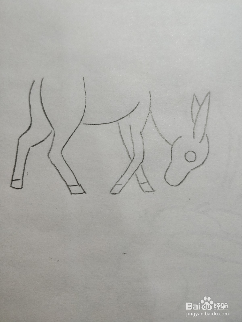 简笔画画小毛驴