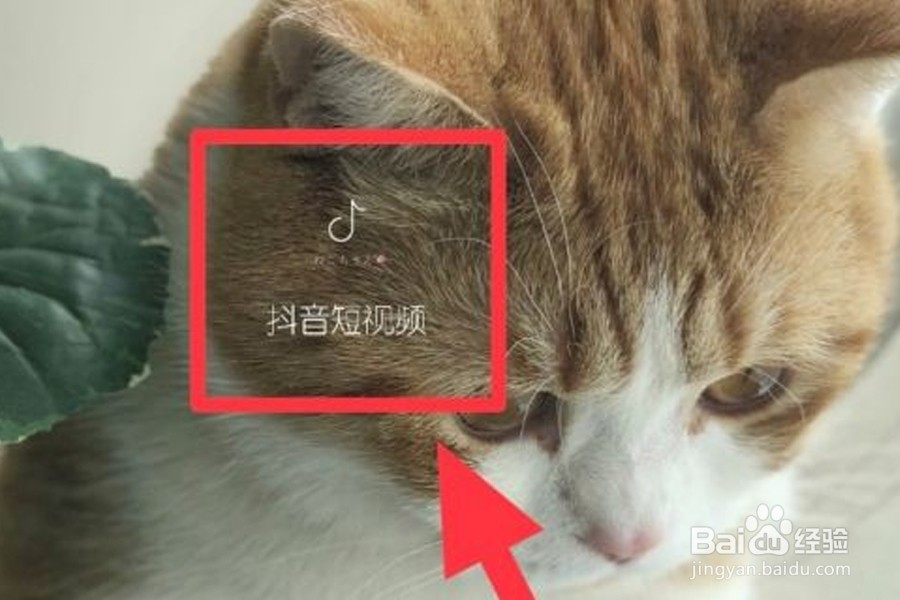 抖音怎么注销账号