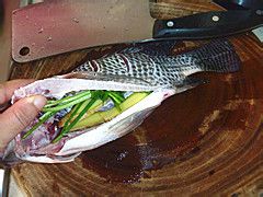 烧出来的美味——红烧鱼