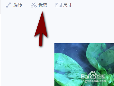如何用美图秀秀裁剪图片