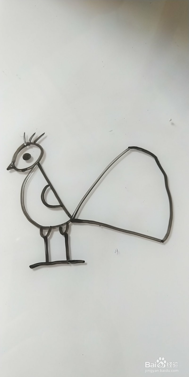 怎么画简笔画孔雀？