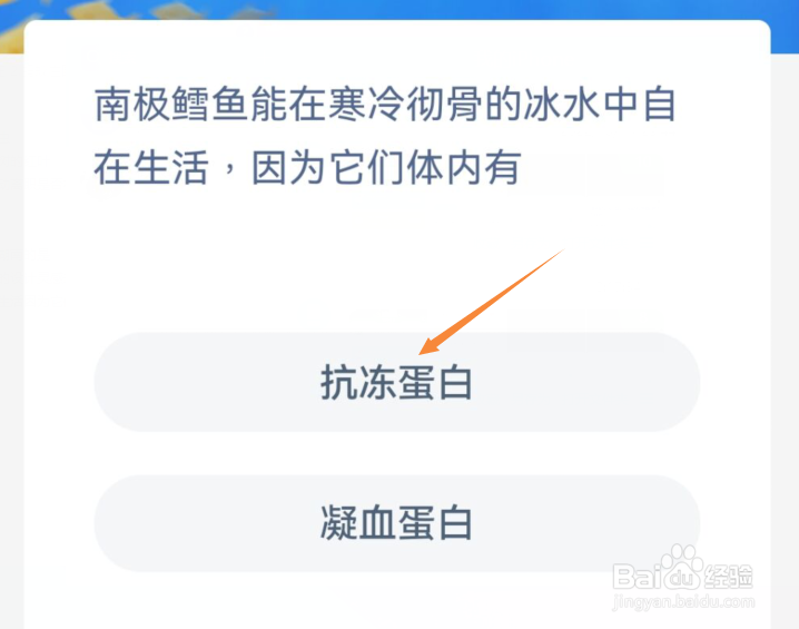 南极鳕鱼能在寒冷彻骨的冰水中自在生活因为