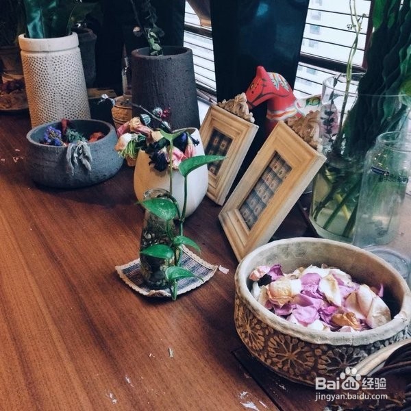 如何快速从零进阶,玩转手机摄影
