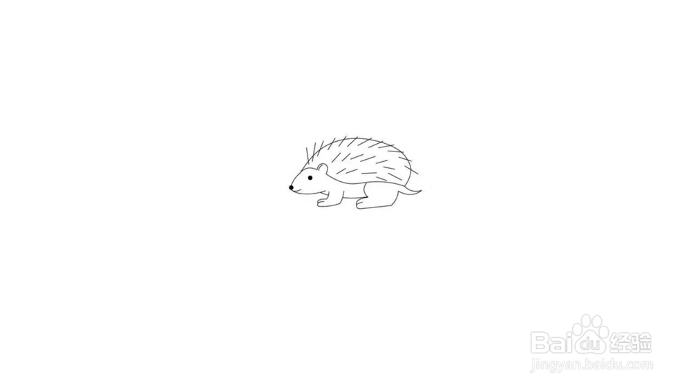 可爱小刺猬简笔画教程