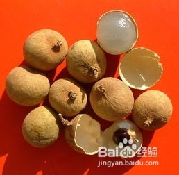 什么食物可以调节失眠