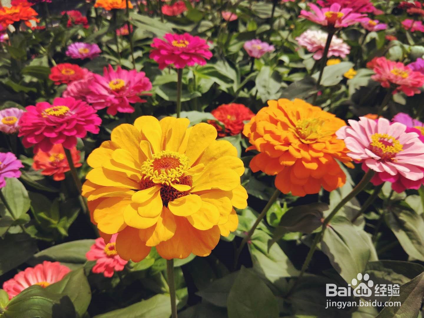 国内住酒店的一些小提示