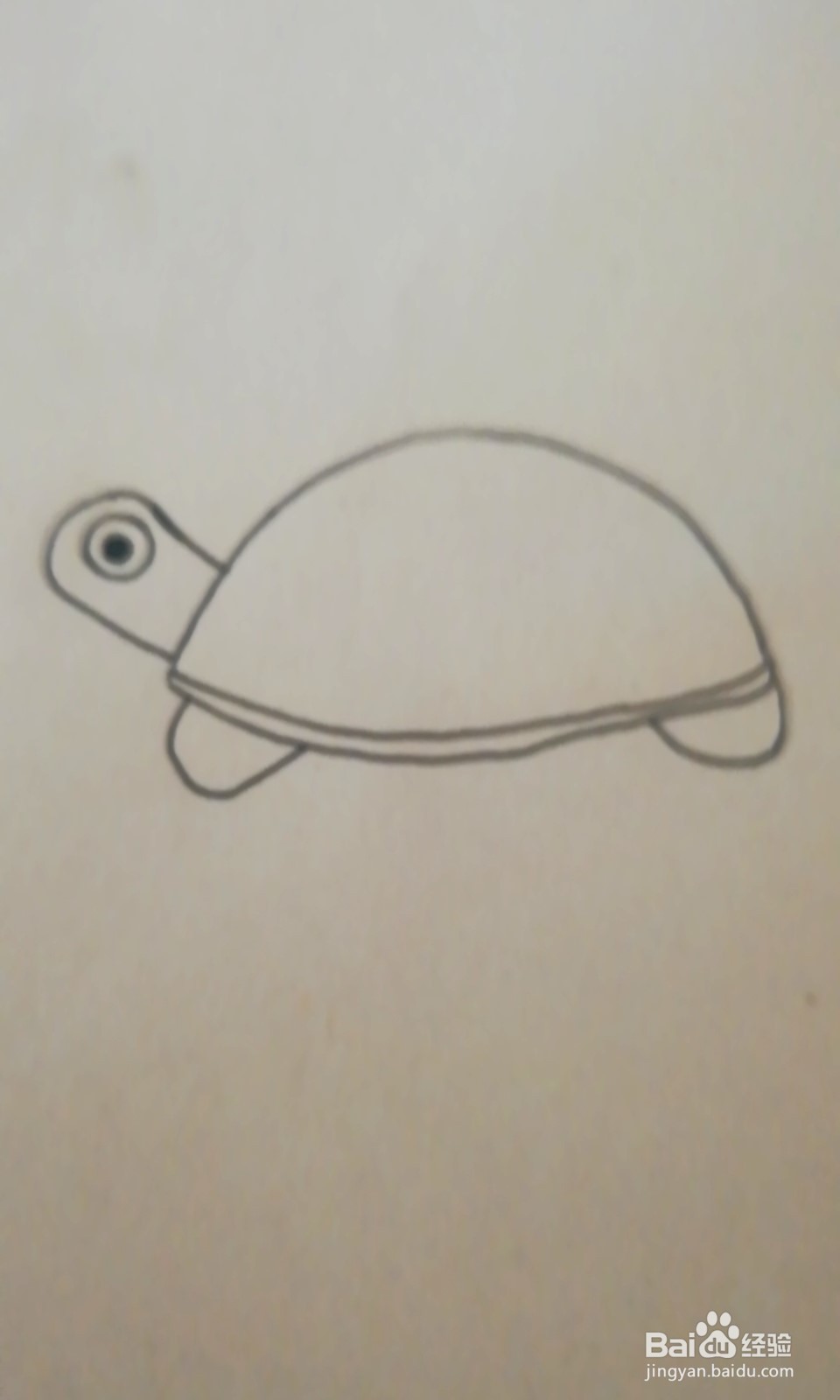 简笔画-爬行的小乌龟怎么画