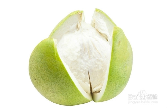 怎样预防蚊虫