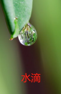 天空为什么会出现彩虹