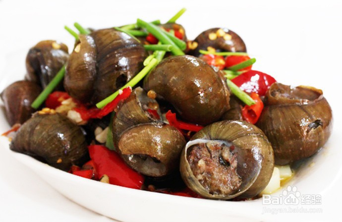 2020 阳朔旅游攻略