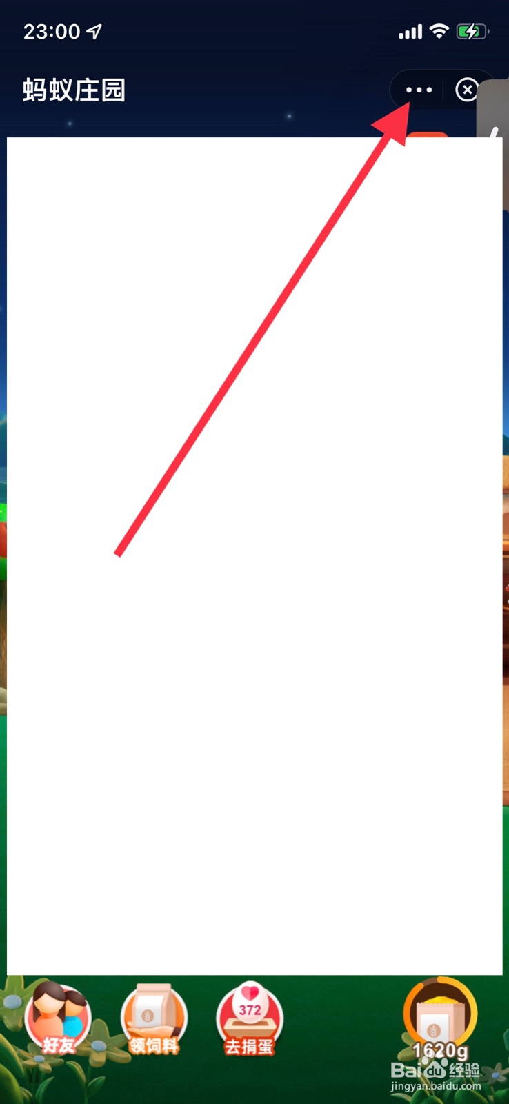 支付宝关掉“小鸡姓名对好友可见”蚂蚁庄园