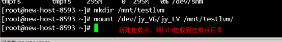 lvm磁盘分区配置教程：[7]lvm格式化分区\挂载