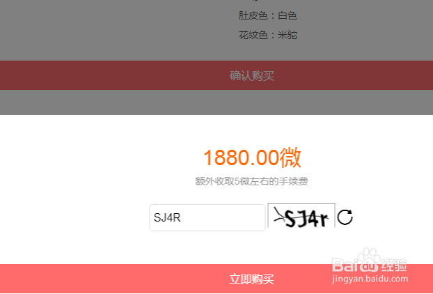 如何买到便宜的莱茨狗？