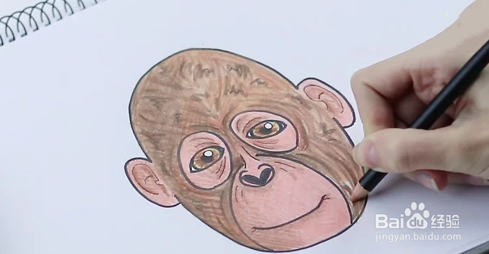 怎么绘制猴脸