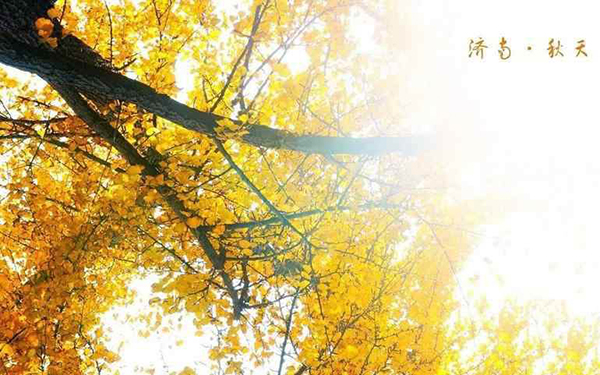 关于秋天的散文诗！