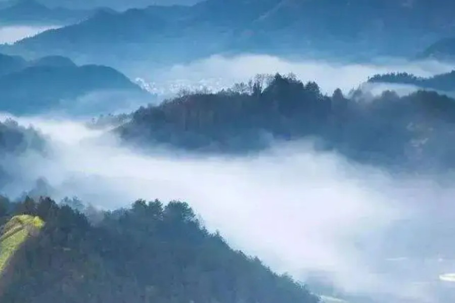 蓝田玉暖日生烟上一句是什么