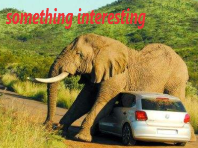 something interesting的用法！