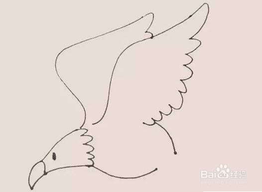 伴儿成长简笔画系列-怎样画老鹰简笔画