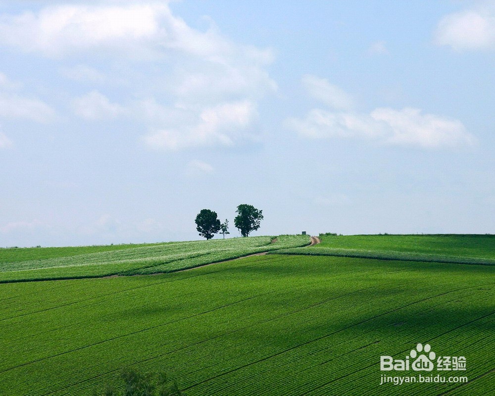 如何丰富自己的大学生活呢？
